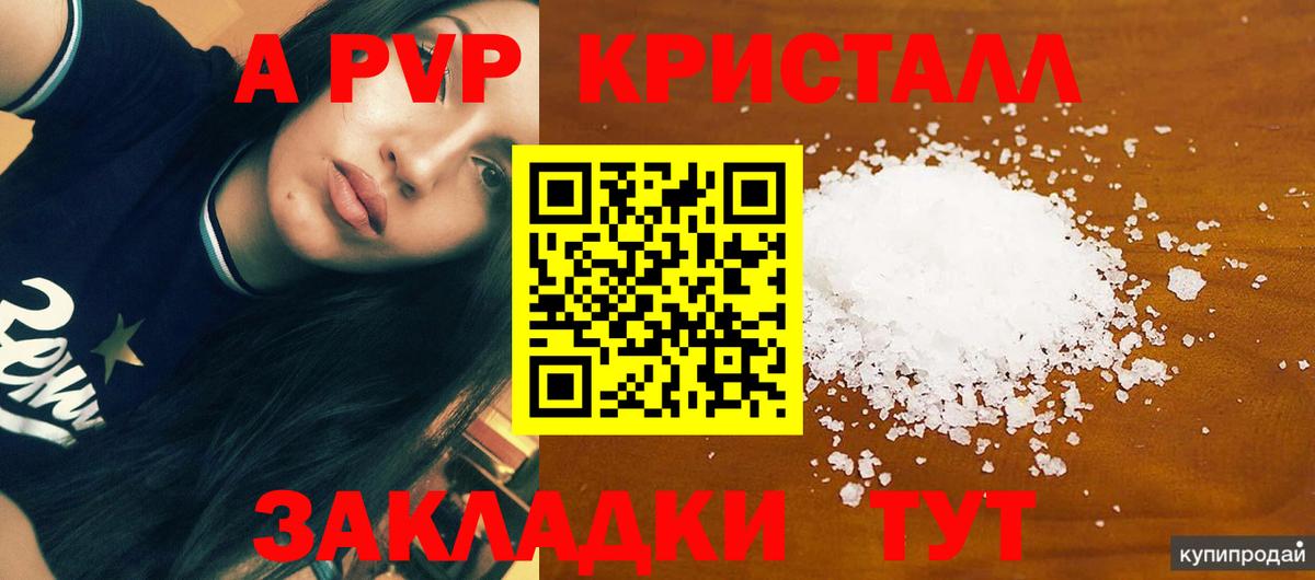 Альфа ПВП крисы CK Вышний Волочёк