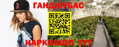 крисы Анжеро-Судженск