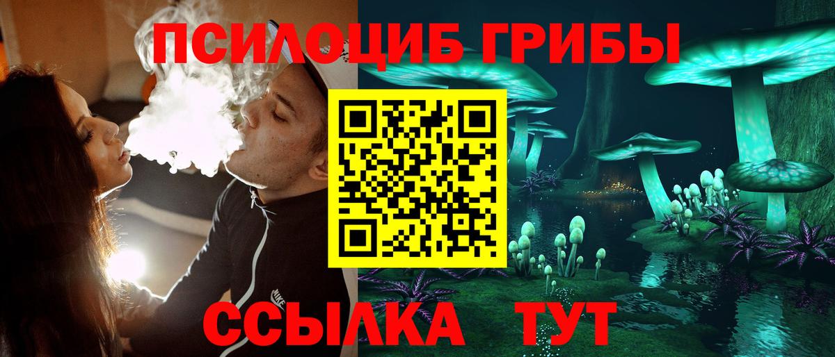 Вышний Волочёк  Галлюциногенные грибы GOLDEN TEACHER  Вход с VPN 